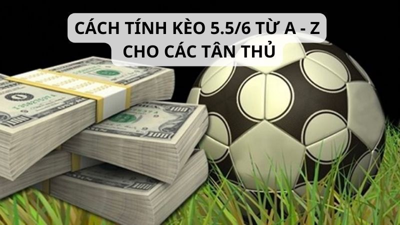 Định nghĩa kèo Tài xỉu 5.5/6 là gì