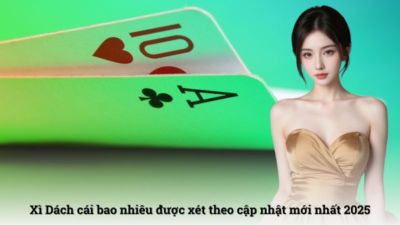 Xì Dách cái bao nhiêu được xét theo cập nhật mới nhất 2025
